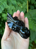 Obsidian Sea Dragons