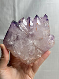 5” Phantom Amethyst Cluster