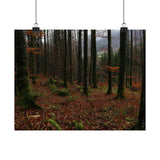 Matte Horizontal Posters - Autumn Woods