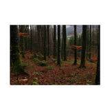 Matte Horizontal Posters - Autumn Woods