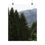 Matte Vertical Posters - Misty Trees
