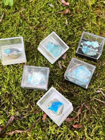 Italian Chrysocolla Specimens
