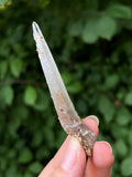 Himalayan Laser Quartz Specimen