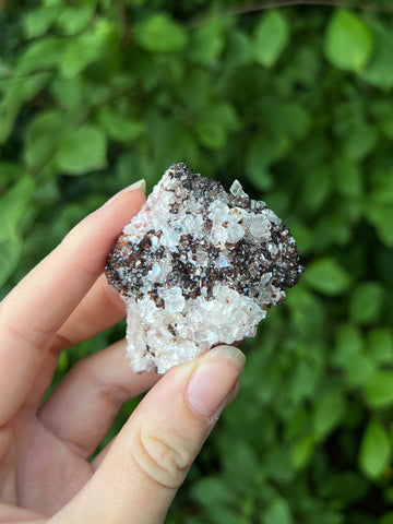 Dravite Tourmaline with Magnesite Specimen