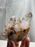 4” Lepidocrocite Included Quartz with Reverse Scepter Crystals