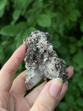 Dravite Tourmaline with Magnesite Specimen