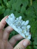 Bulgarian Pyrite on Quartz (Medium)