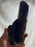 7.5” Dark Smoky Quartz