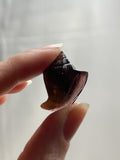 Purple Tourmaline Shell Carving