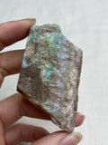 3” Virgin Valley Wood Opal