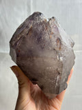 6.5” Double Terminated Smoky Amethyst