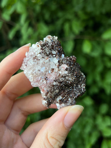 Dravite Tourmaline with Magnesite Specimen