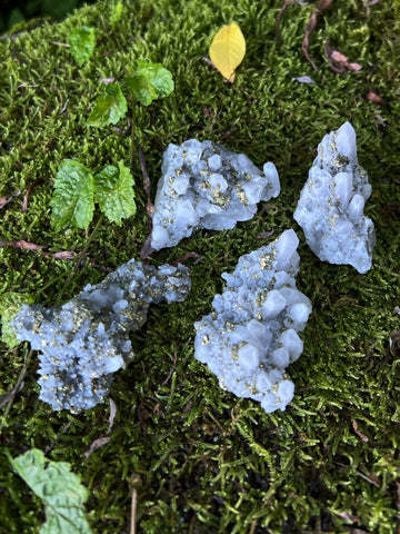 Bulgarian Pyrite on Quartz (Small)