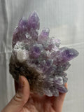 5” Guerrero Amethyst