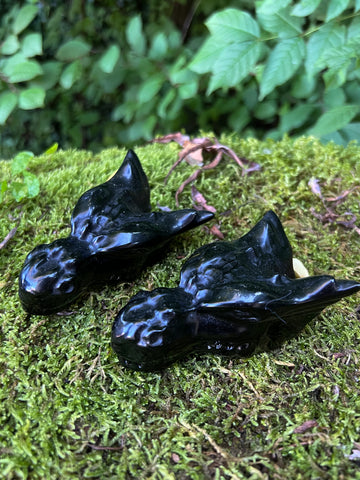 Obsidian Sea Dragons