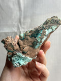 6” Shattuckite Specimen