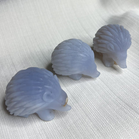 Blue Chalcedony Detailed Hedgehogs