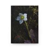 Hardcover Journal Matte - Forest Illumination