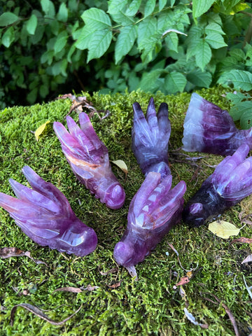 Fluorite Dragon Skulls