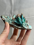 6” Shattuckite Specimen