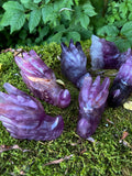 Fluorite Dragon Skulls