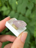Italian Amethyst Specimens