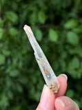 Himalayan Laser Quartz Specimen