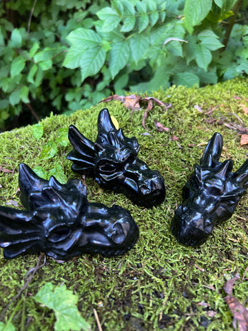 Obsidian Dragons