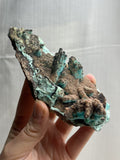 6” Shattuckite Specimen