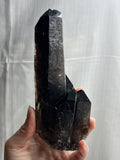 7.5” Dark Smoky Quartz