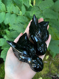 Obsidian Sea Dragons