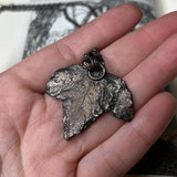 Forager’s Amulet: Spectrolite