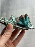 6” Shattuckite Specimen