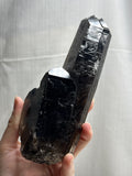 7.5” Dark Smoky Quartz