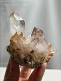 4” Lepidocrocite Included Quartz with Reverse Scepter Crystals