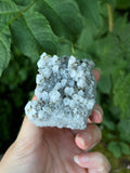 Bulgarian Pyrite on Quartz (Large)