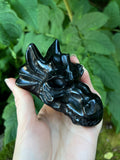 Obsidian Dragons