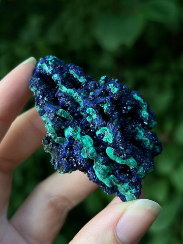 Crystallized Azurite on Malachite Specimen