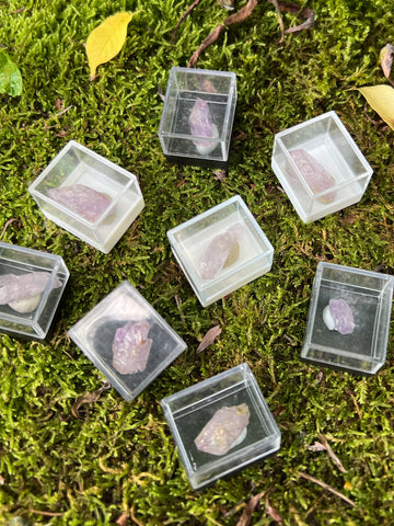 Italian Amethyst Specimens