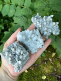Bulgarian Pyrite on Quartz (Large)