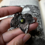 Forager’s Amulet: Spectrolite