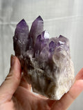 4” California Amethyst