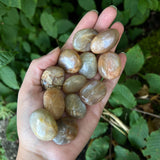 Peach Moonstone Pebbles