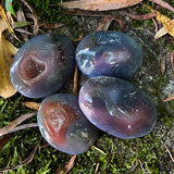 Agate Palm Stones