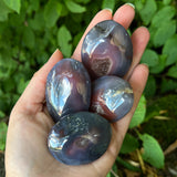 Agate Palm Stones
