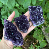 "Grape Jelly" Amethyst Clusters (Large)