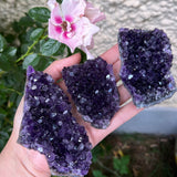 "Grape Jelly" Amethyst Clusters (Large)