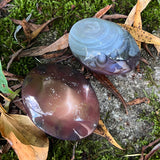 Agate Palm Stones (Large)