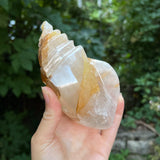 Hematoid Quartz Conch Carving