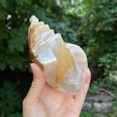 Hematoid Quartz Conch Carving
